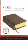 ESV Study Bible - Genuine Leather - Black